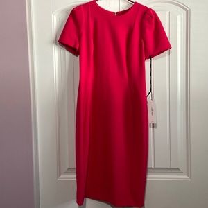 Pink zipper at back dress